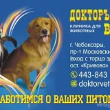Ветеринарная клиника Докторъ Вет Фото 2 на проекте Cheboksary.vetspravka.ru