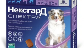 Нексгард для собак 2 4 кг. НЕКСГАРД спектра для собак 15-30. НЕКСГАРД спектра для собак 30-60 кг. NEXGARD Spectra для собак. НЕКСГАРД спектра для собак 2-3.5 кг.